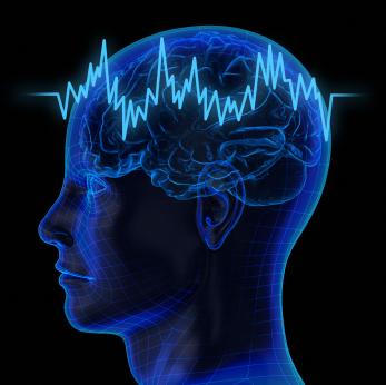 تأثير العالم